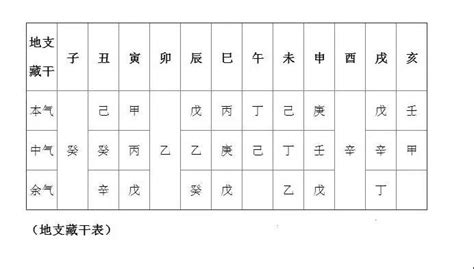 12地支五行|十二地支藏干 十二地支五行属性对照表